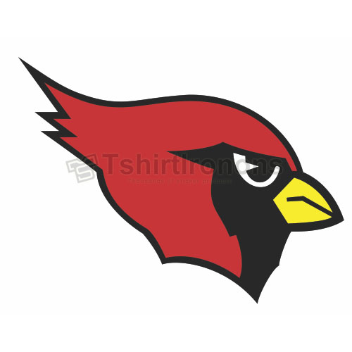 Arizona Cardinals T-shirts Iron On Transfers N383 - Click Image to Close